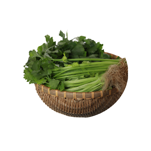 湖南土芹菜